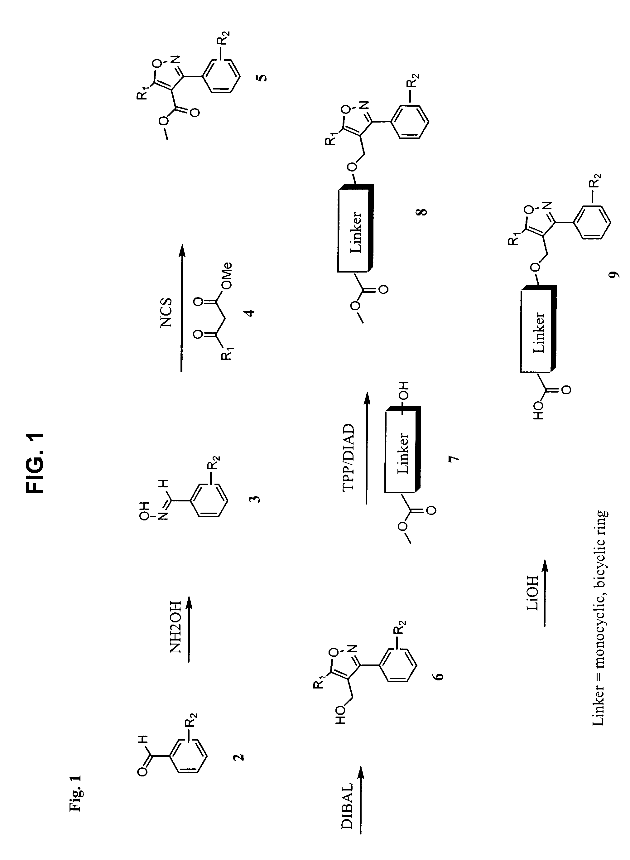 NR1H4 nuclear receptor binding compounds