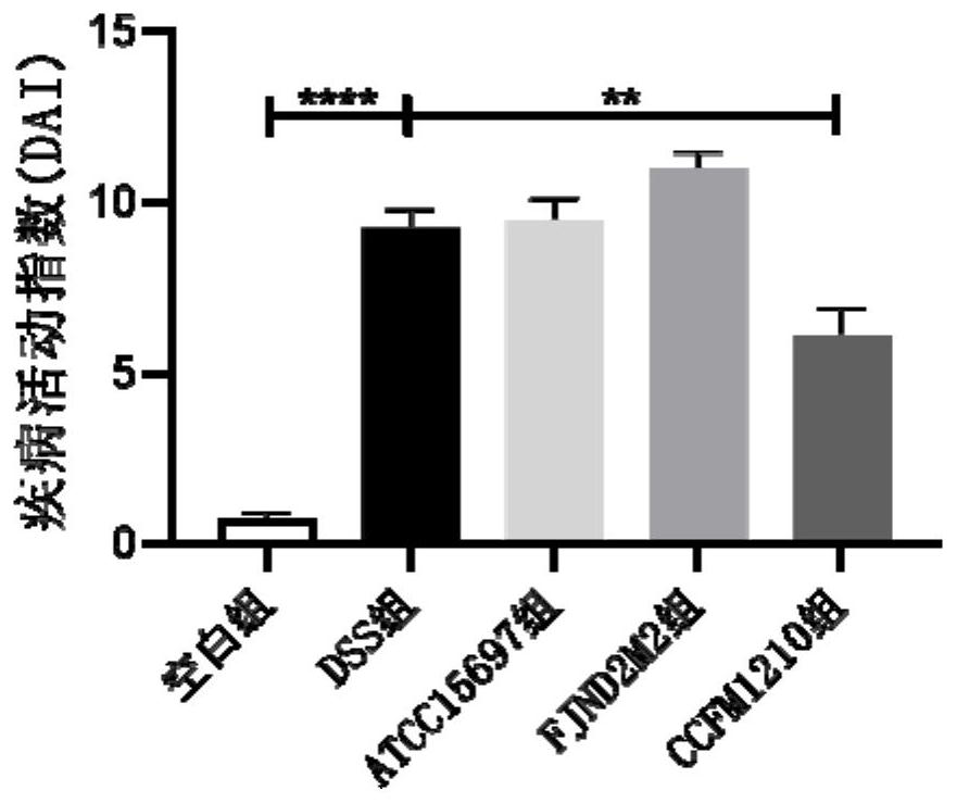 Bifidobacterium longum subsp.infantis for relieving colitis and application thereof