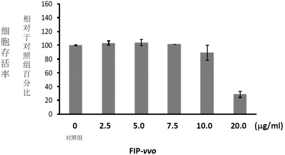 Inhibition of osteoclast formation