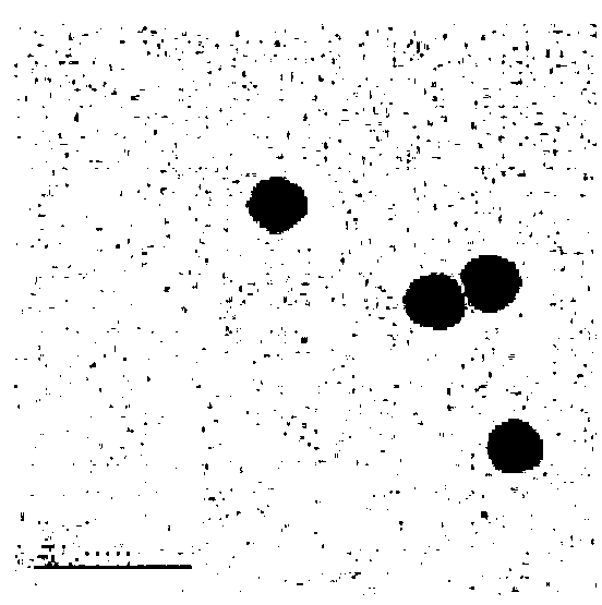 Multivalent immunostimulation nanoformula, preparation method and application thereof