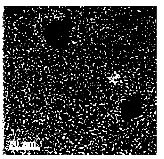 Multivalent immunostimulation nanoformula, preparation method and application thereof