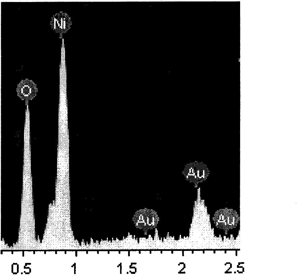 Metal carrier load gold catalyst and application thereof in preparing aldehyde or ketone by selectively oxidizing catalytic alcohol