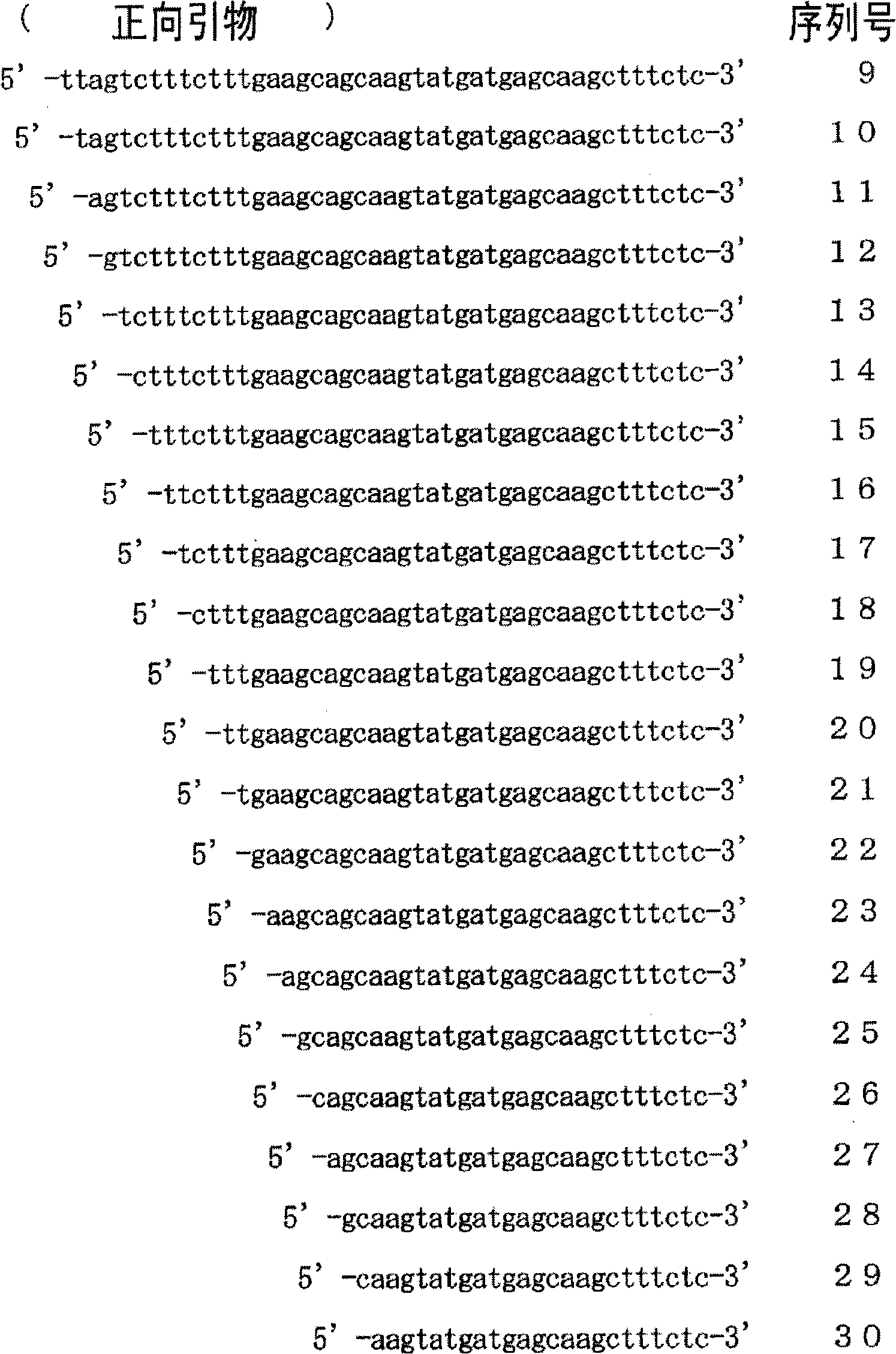 Probe for detecting mutation in jak2 gene and use thereof