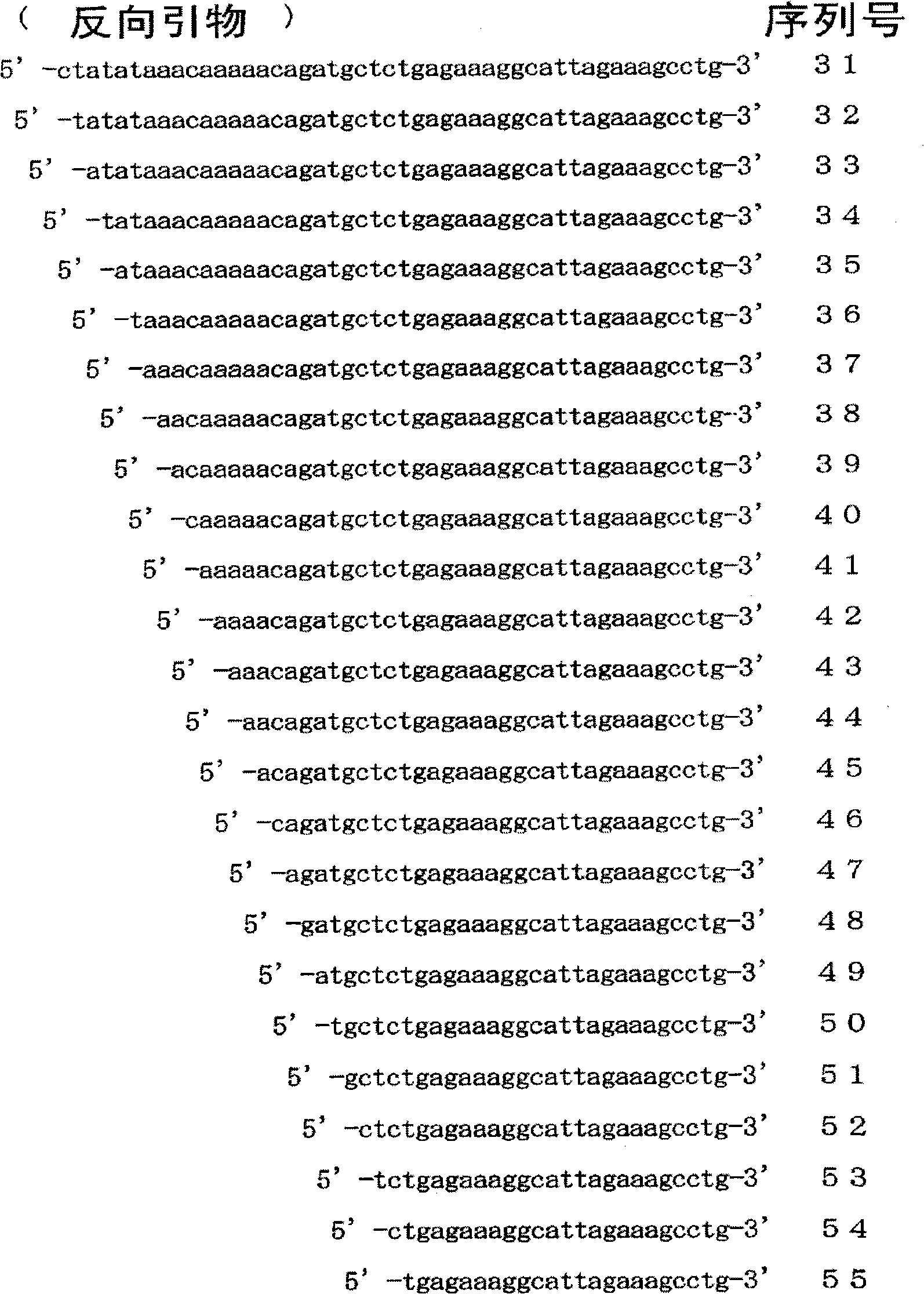 Probe for detecting mutation in jak2 gene and use thereof