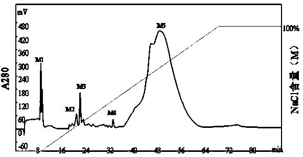 Liquorice protein nanoparticles and preparation method thereof