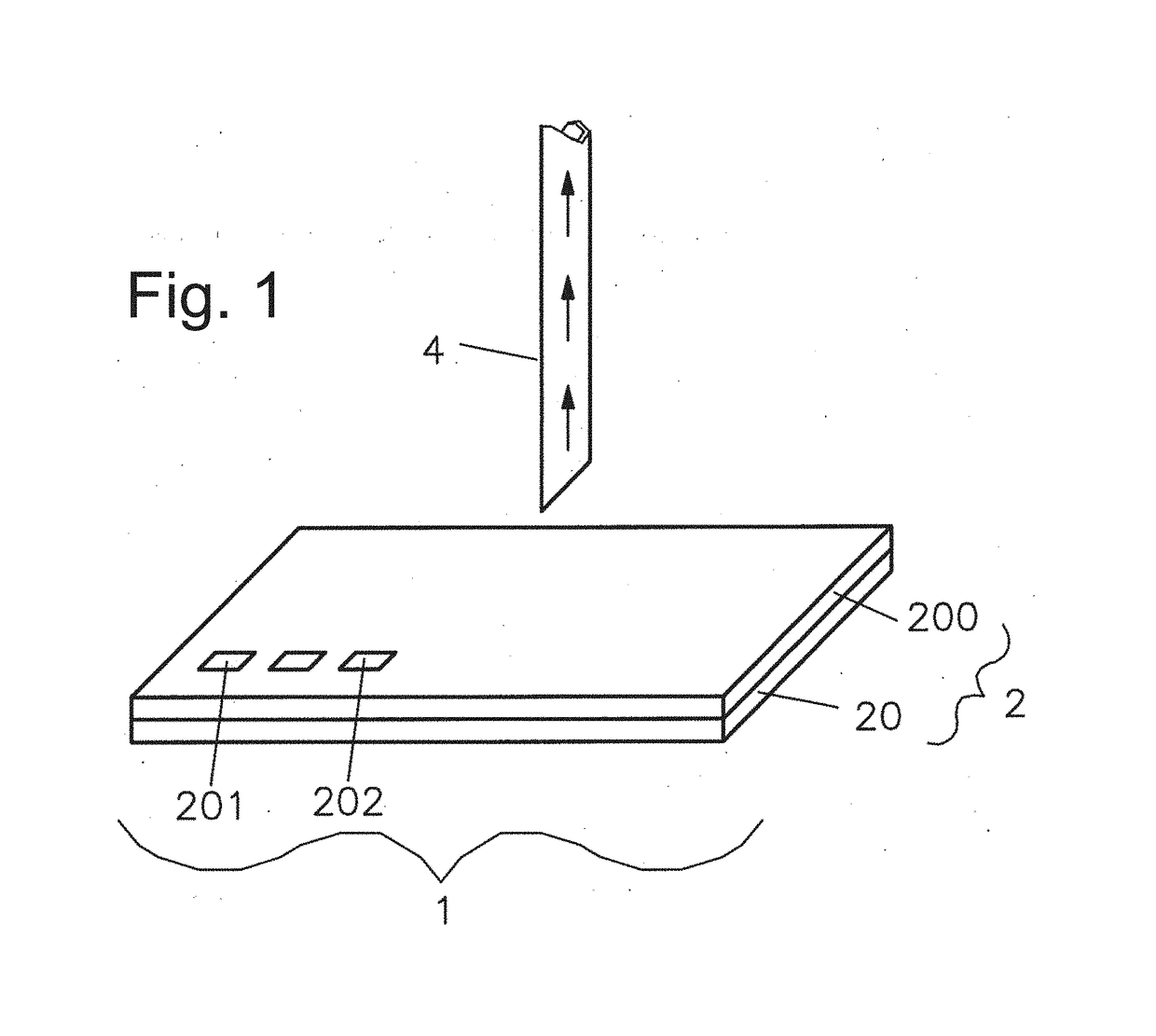 Immobilization of cells or virus particles on protein structures using a microfluidic chamber