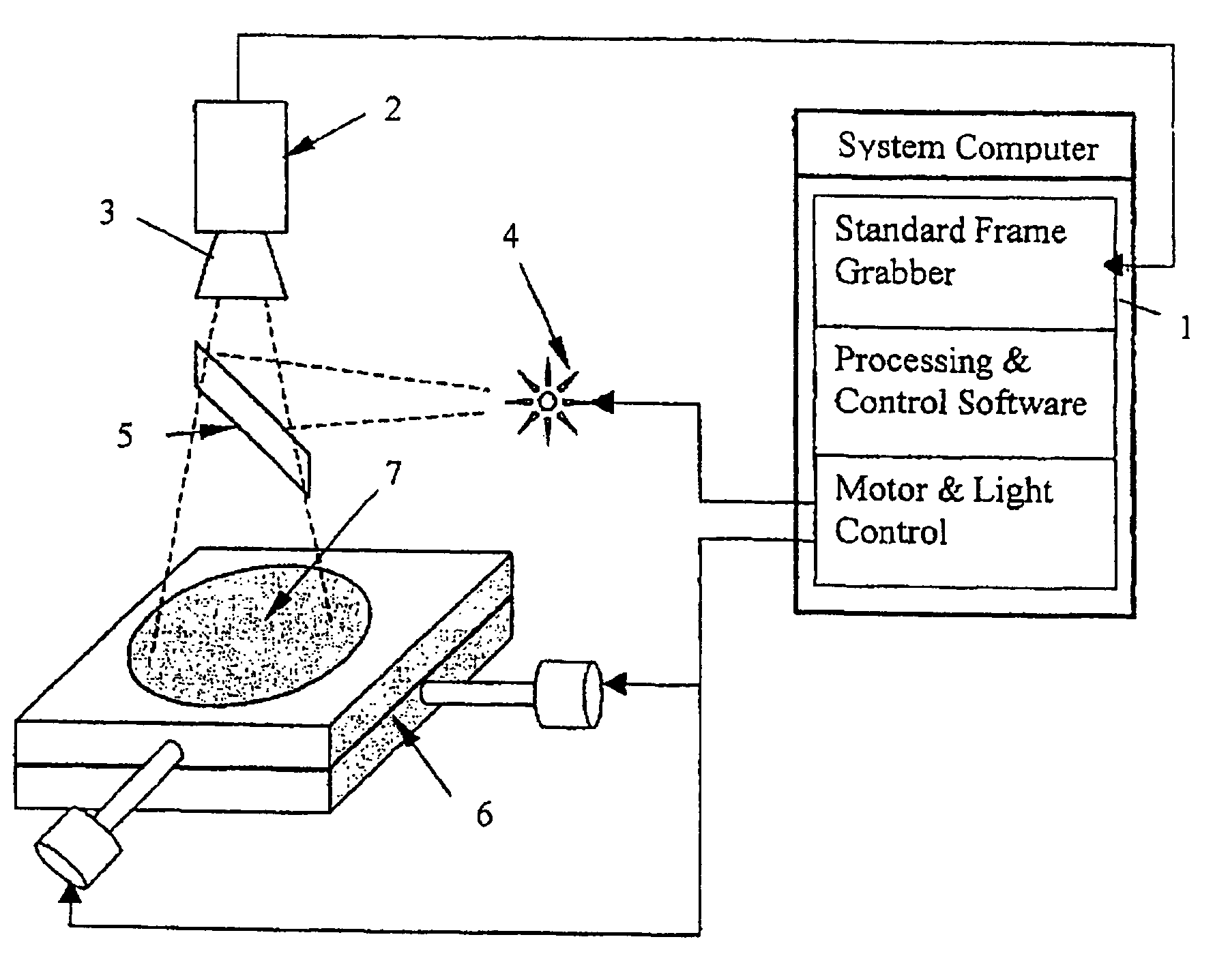 Method for the detection of viable microorganisms