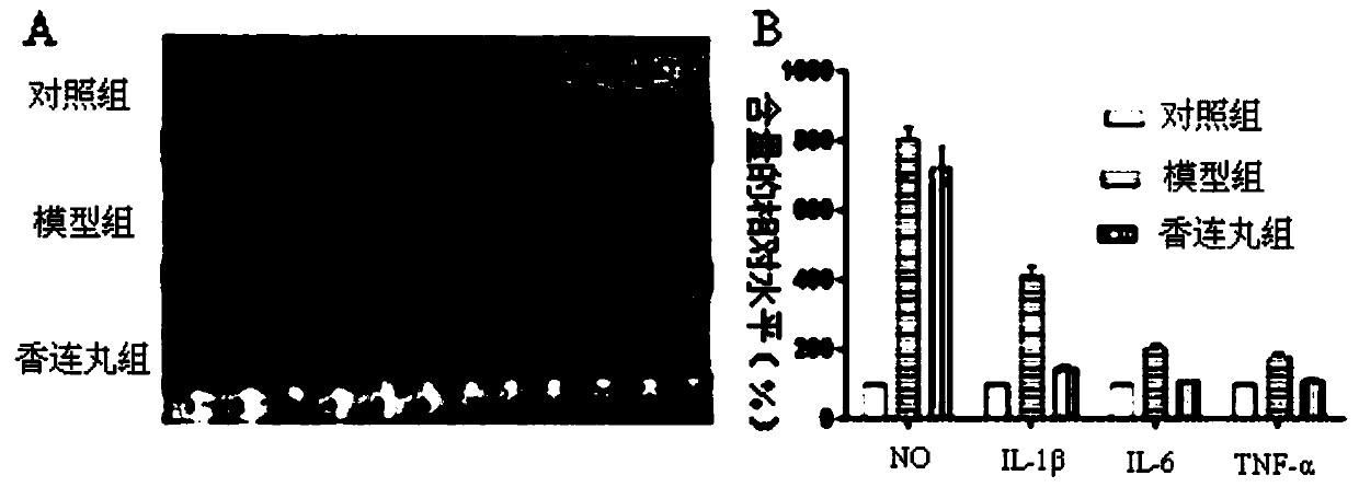 Application of aucklandia-coptis pill extract in preparing drugs for treating intestinal flora alternation diseases