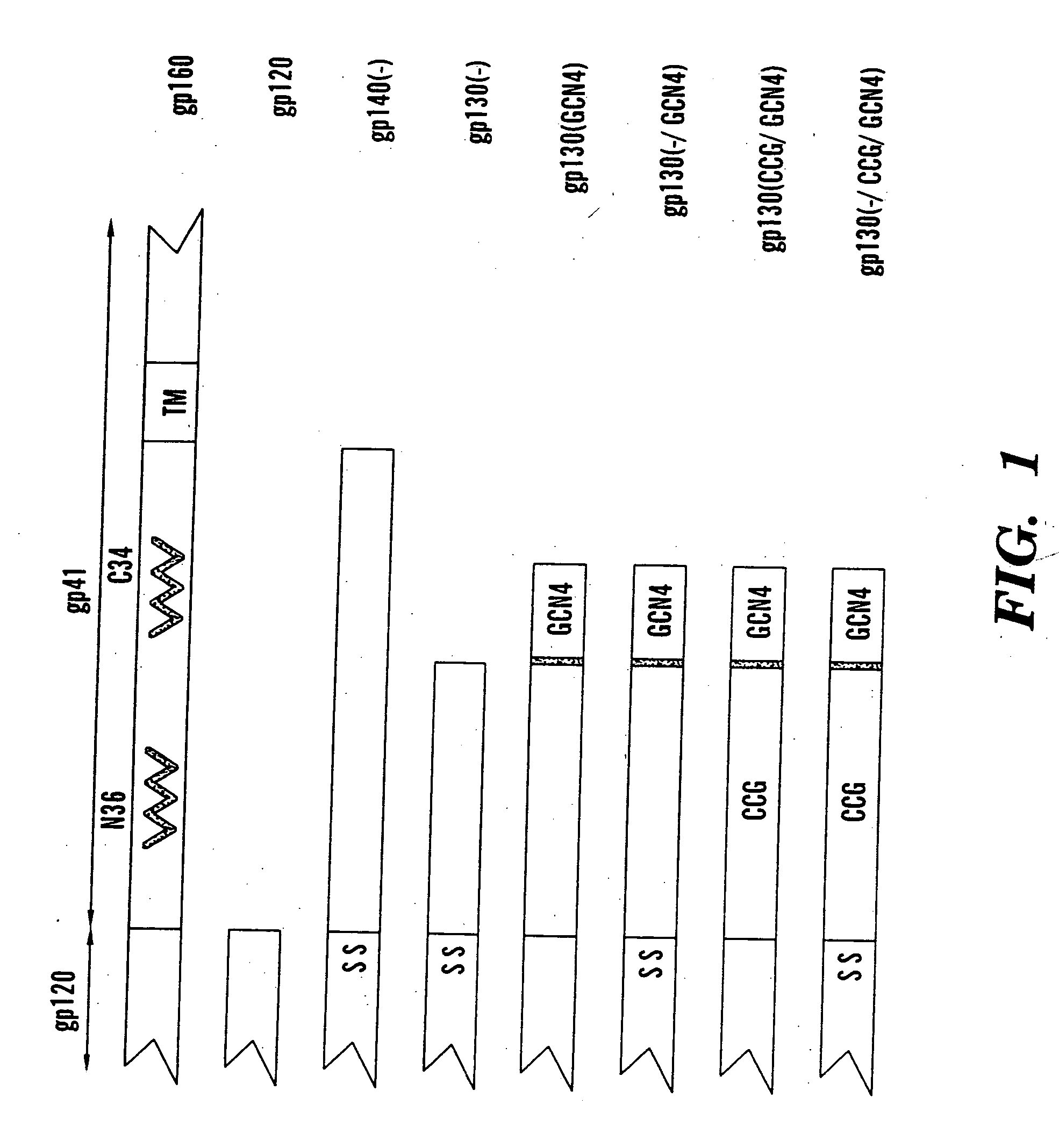 Stabilized soluble glycoprotein trimers