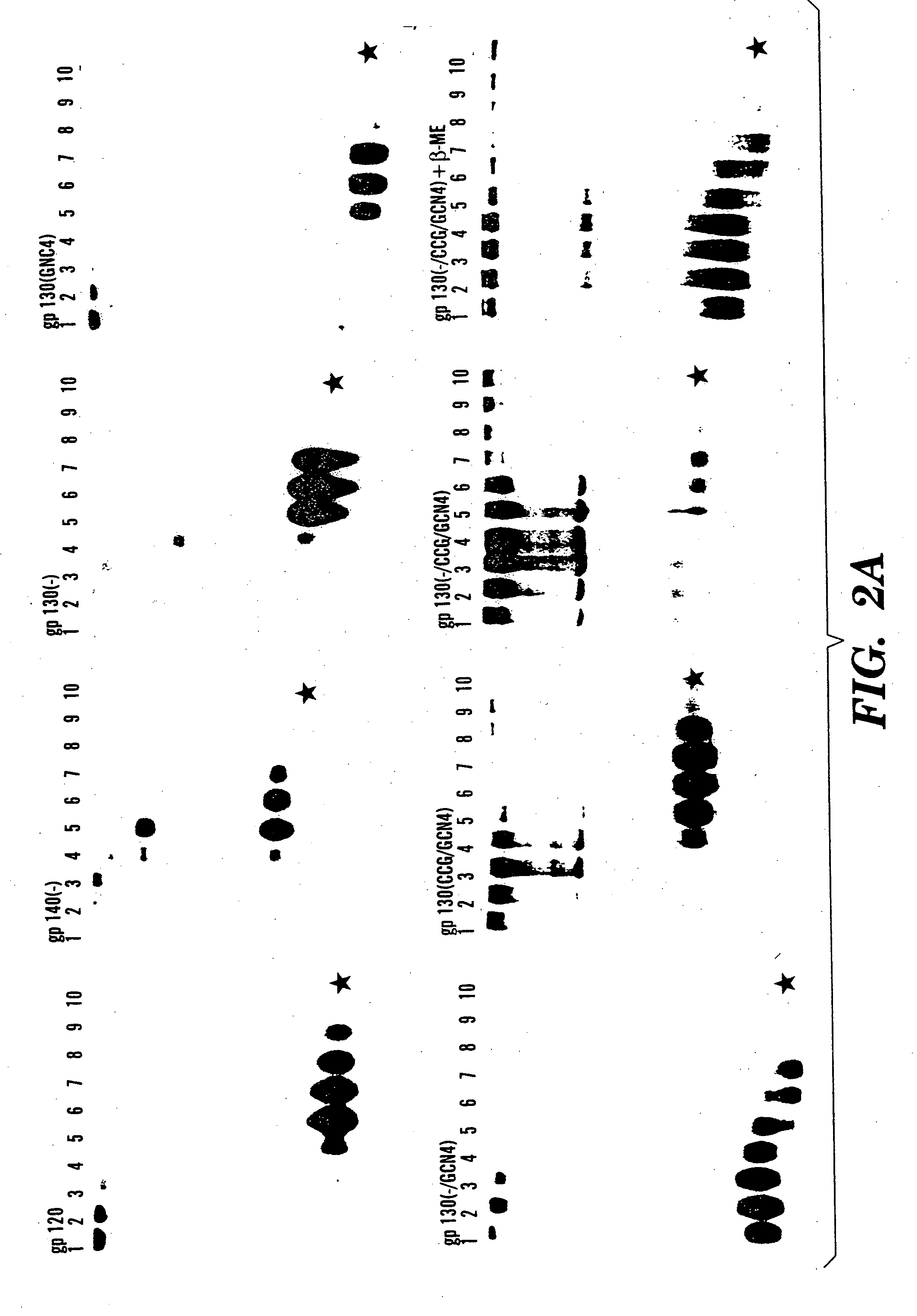 Stabilized soluble glycoprotein trimers