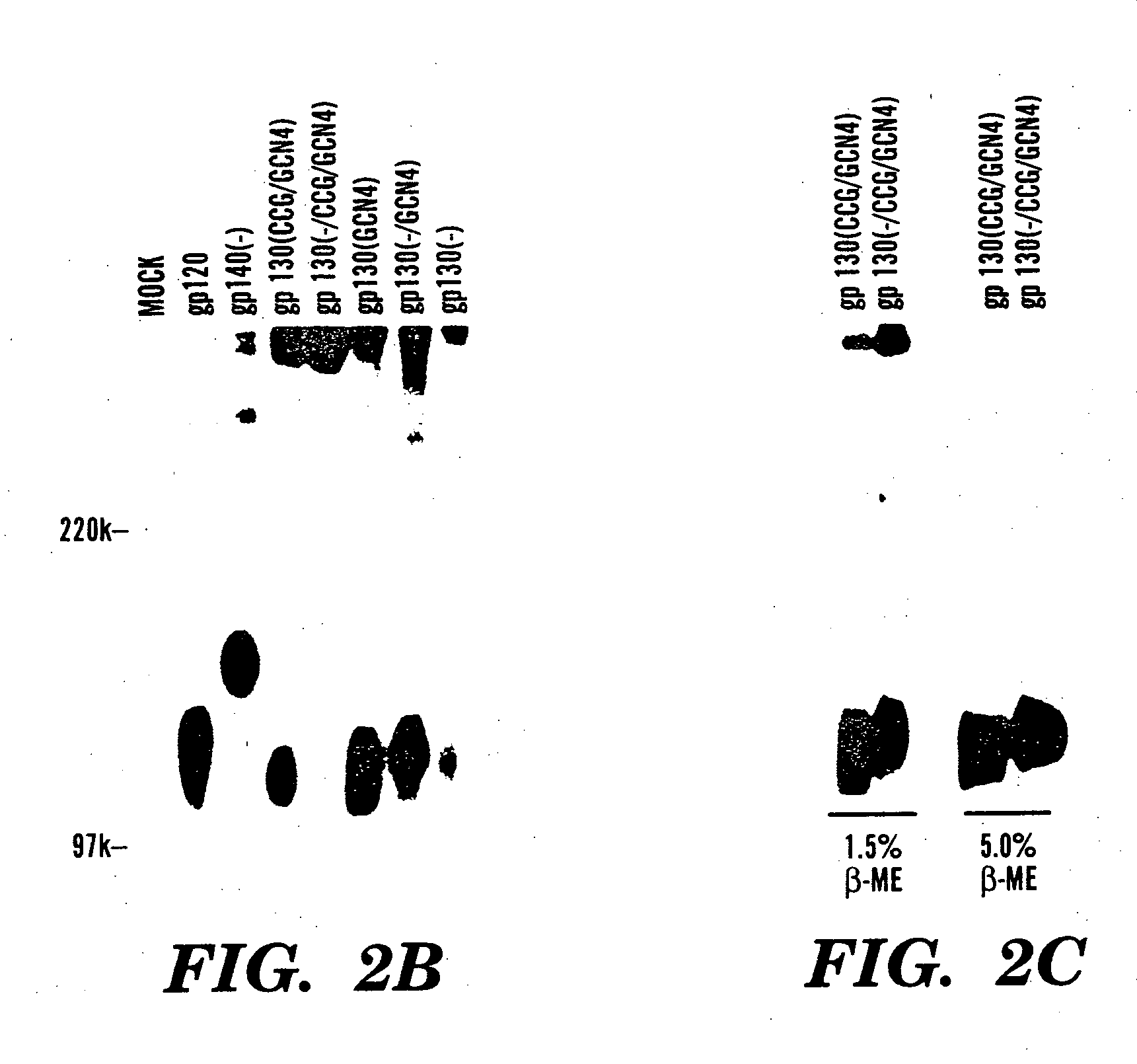 Stabilized soluble glycoprotein trimers