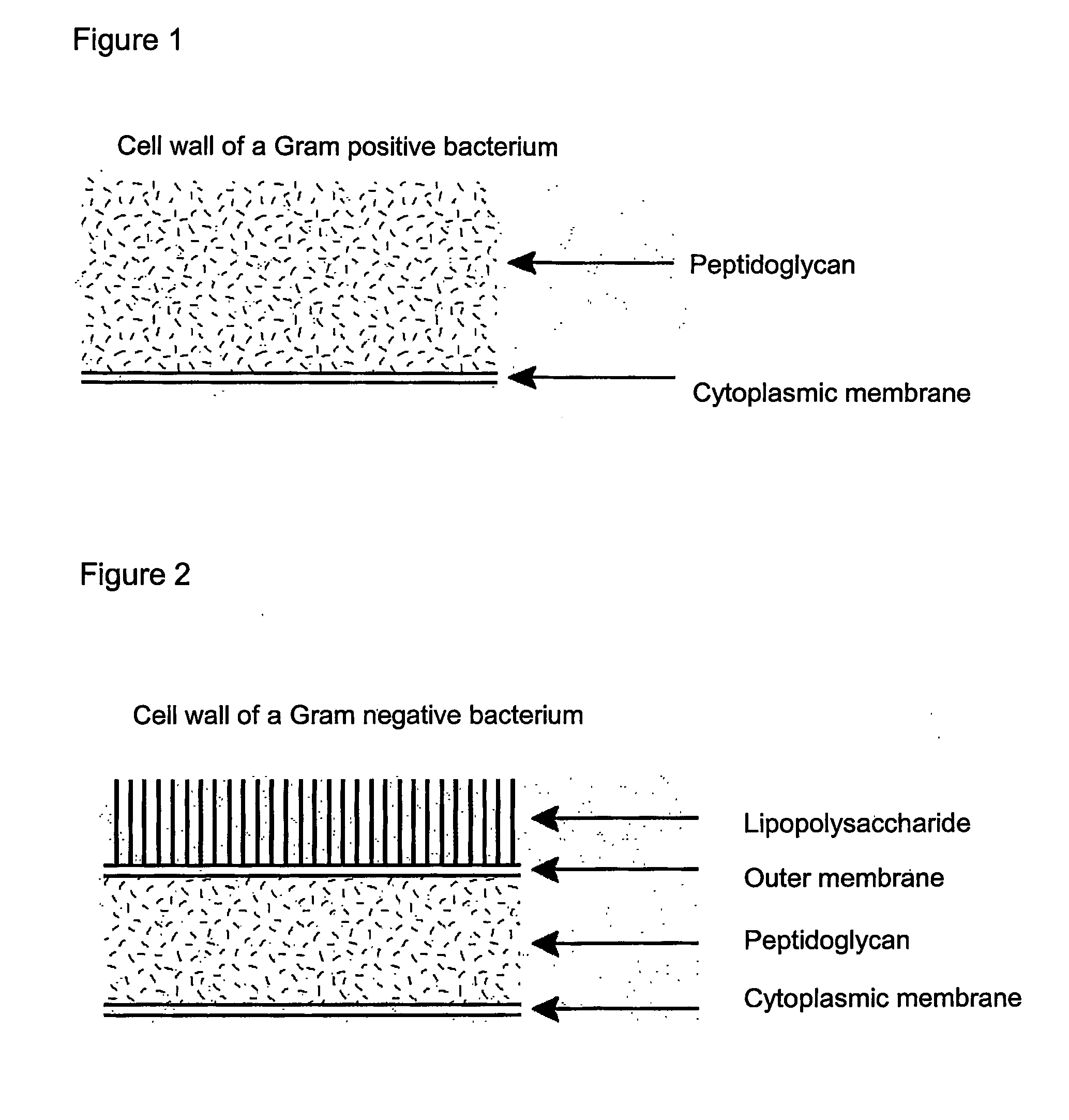 Antimicrobial composition for local use on mucosal membranes and skin