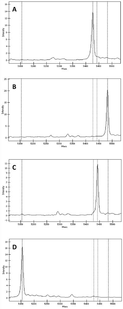 A kit for detecting the mutation site of susceptibility gene for granular corneal dystrophy