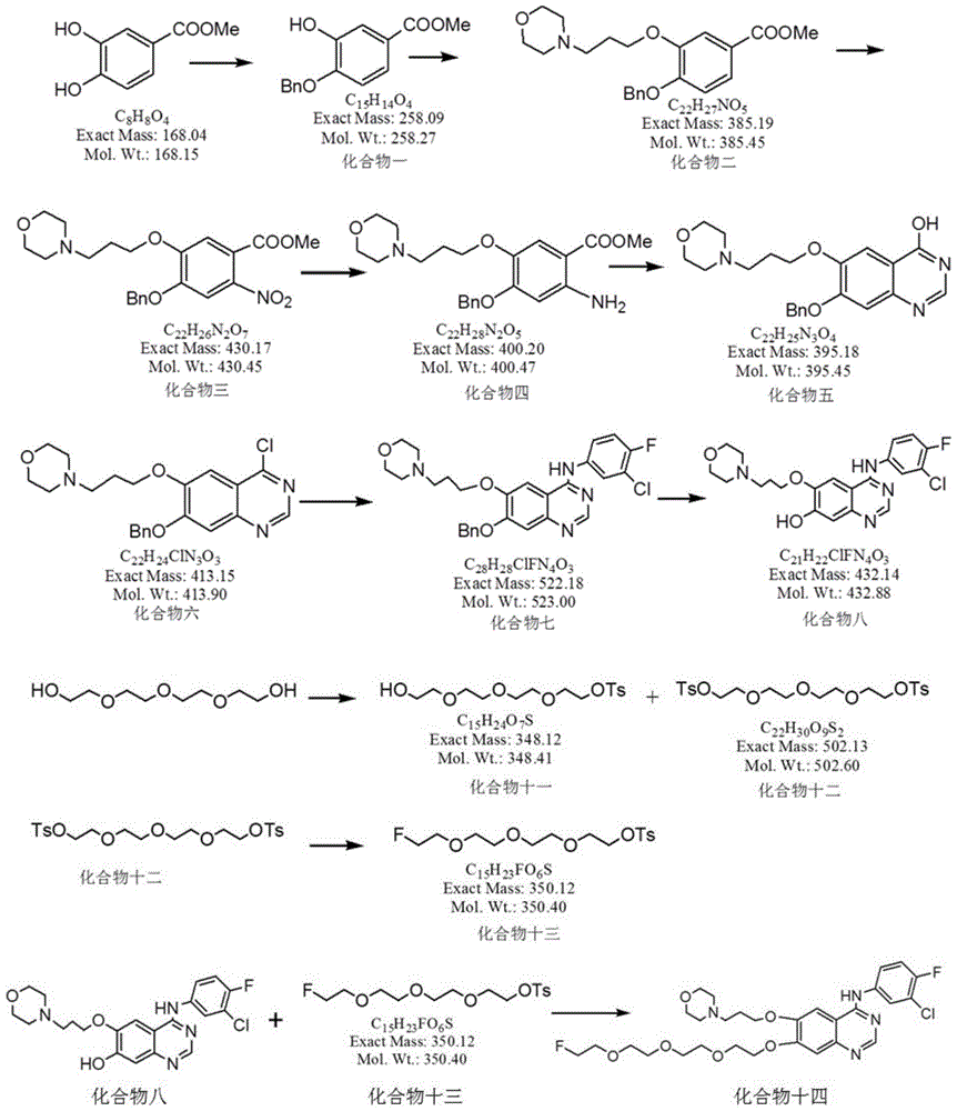 Epidermal growth factor receptor tyrosin kinase inhibitors IRSF and IRSH with antitumor activity, preparation method and application thereof