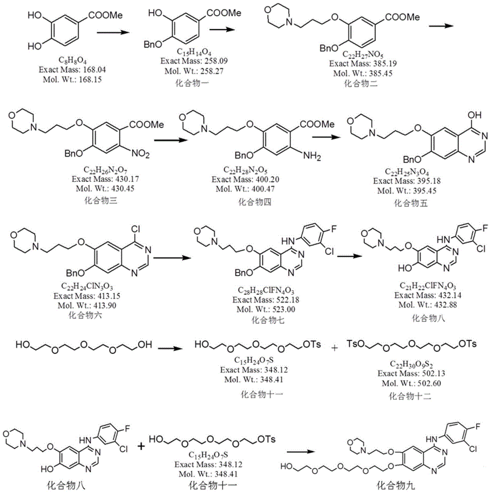 Epidermal growth factor receptor tyrosin kinase inhibitors IRSF and IRSH with antitumor activity, preparation method and application thereof