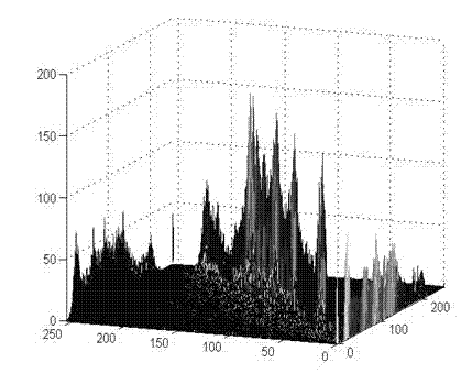 Two-dimensional Renyi entropic threshold segmentation method for grayscale images