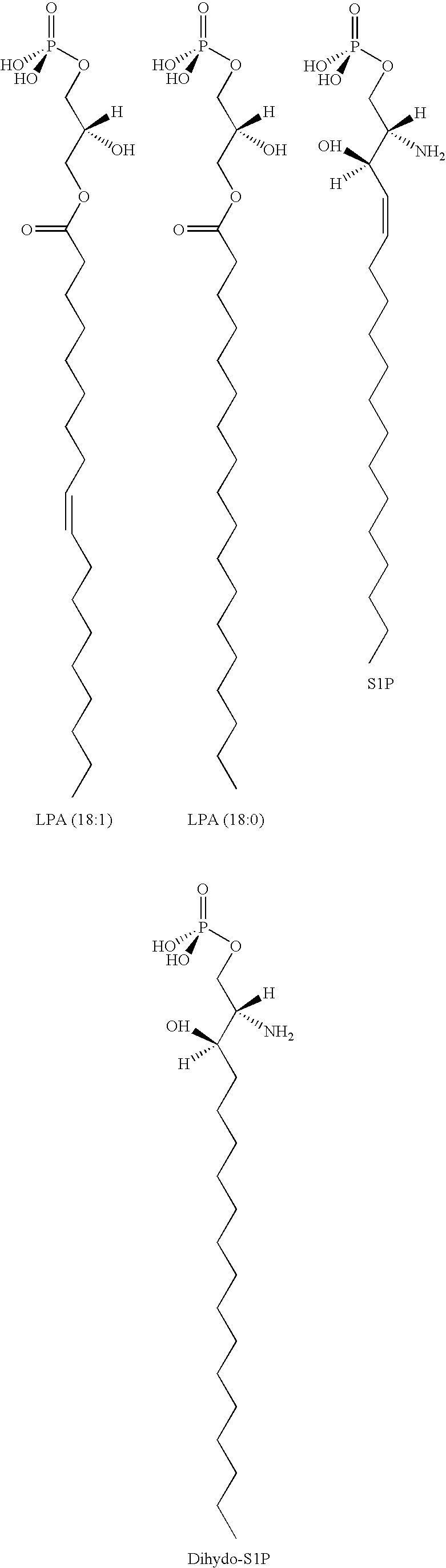 Methods for decreasing immune response and treating immune conditions