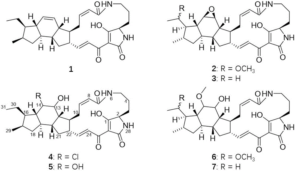 Pancreas cancer prevention use of polycyclic fused macrocyclic lactam compounds