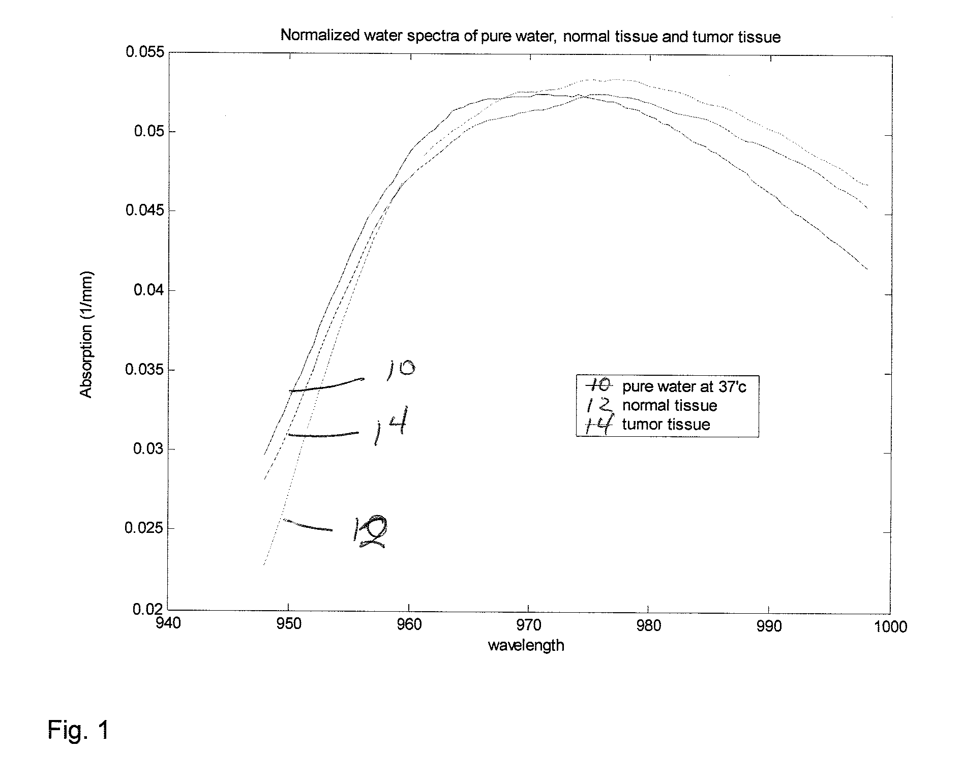 Method and apparatus for assessing the molecular water binding of deep tissue in vivo using nonionizing radiation