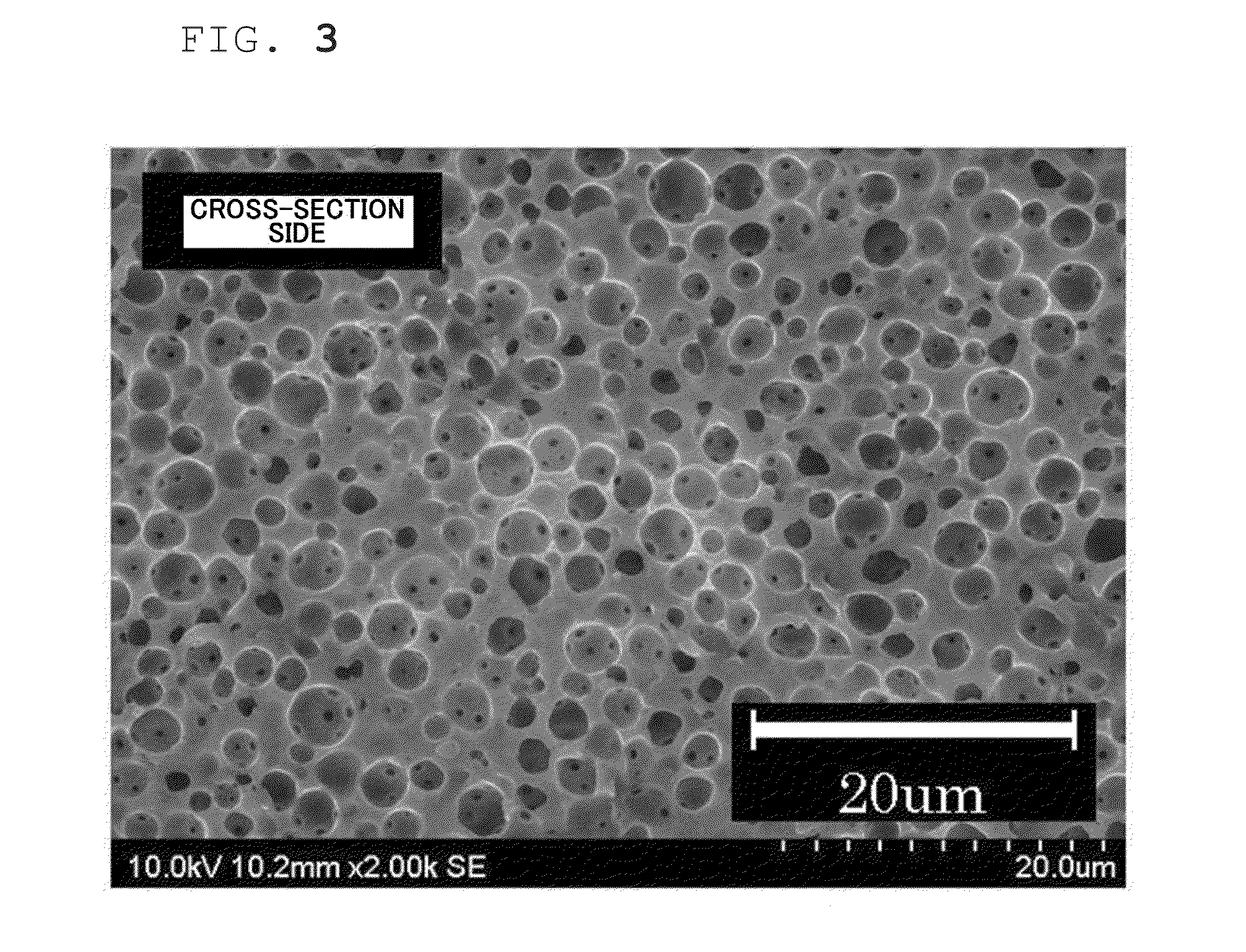 Foam, production method for foam, and functional foam