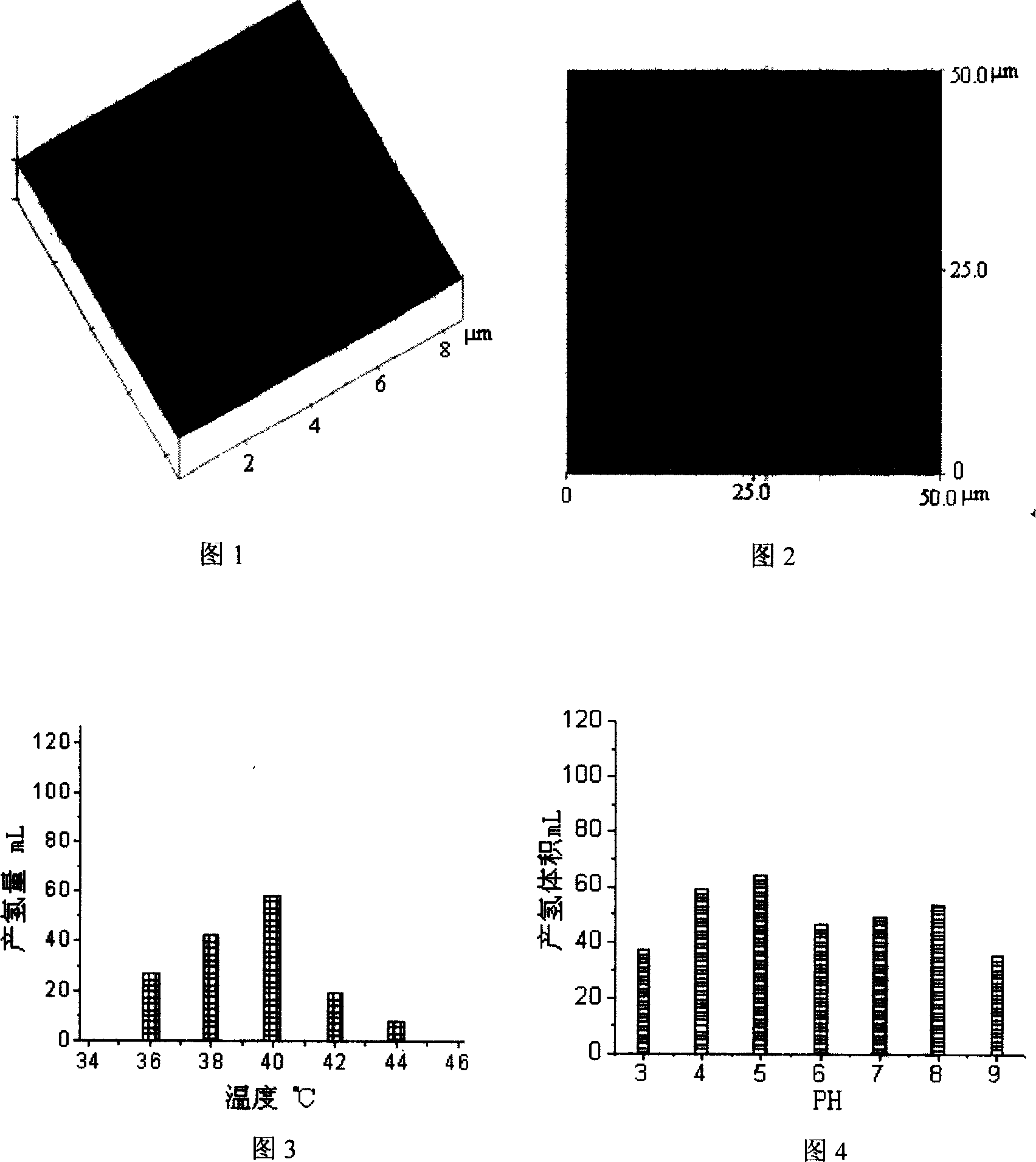 Method for mixed bacterial strain to degrade and ferment cellulose for producing hydrogen