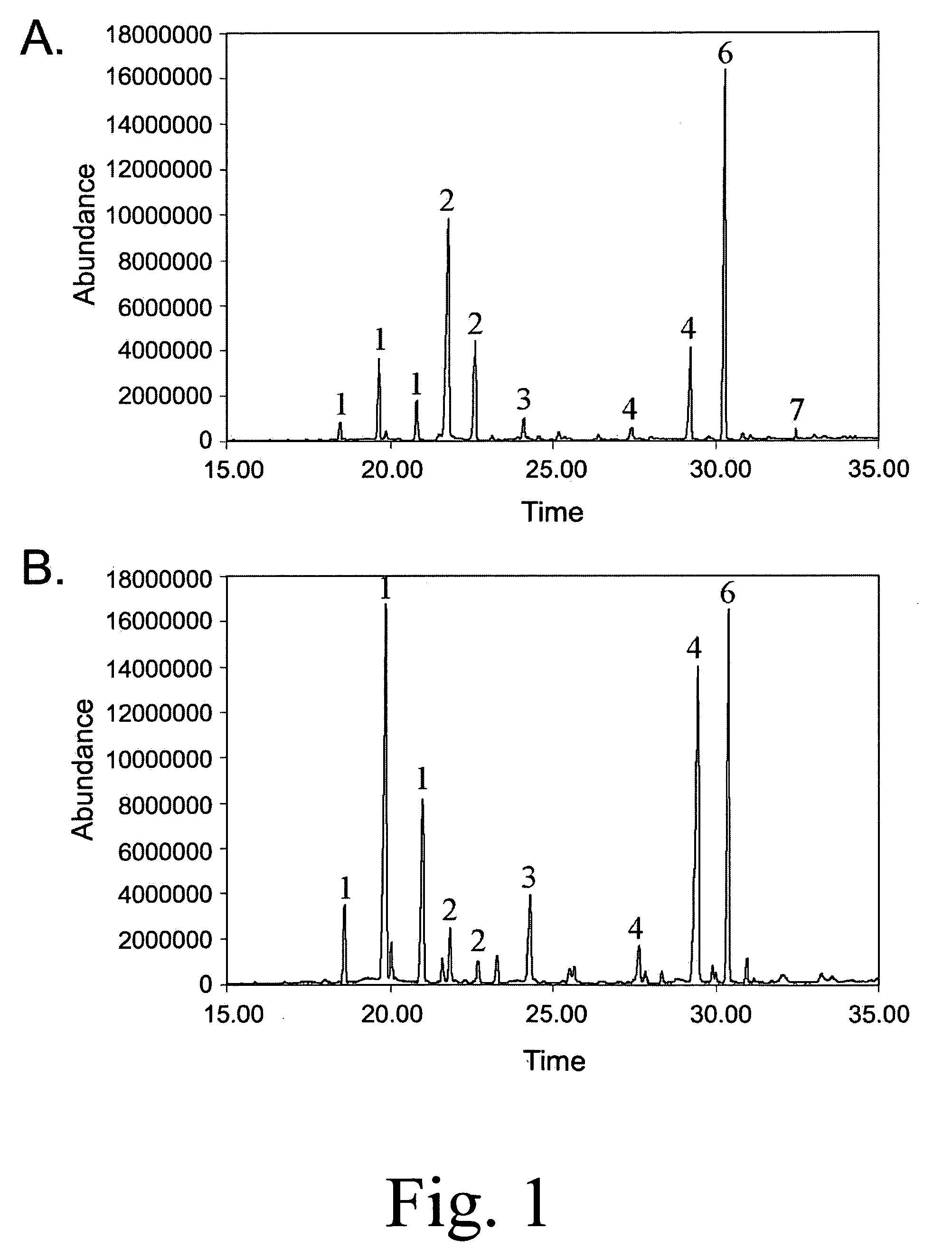 Anthrax carbohydrates, synthesis and uses thereof