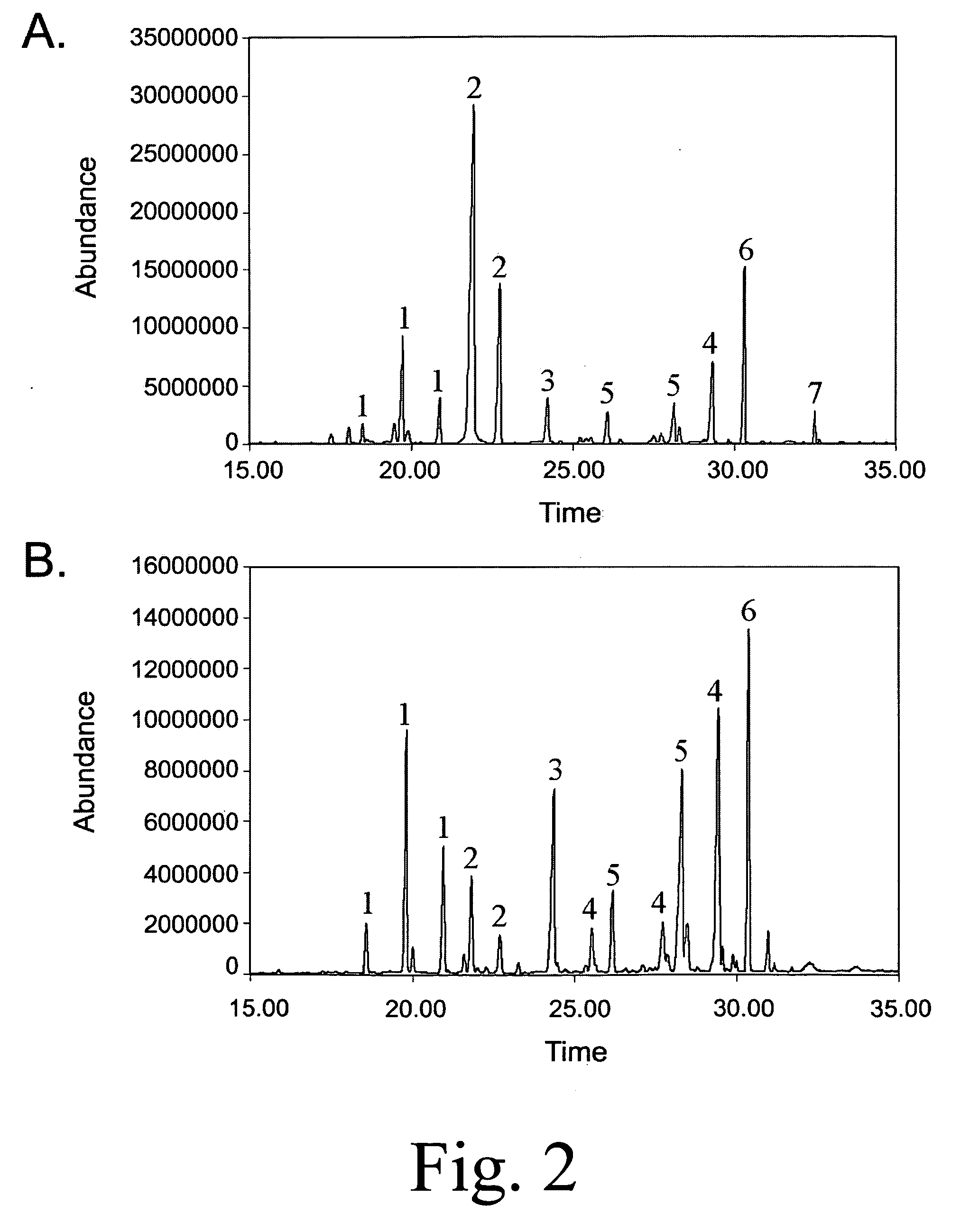 Anthrax carbohydrates, synthesis and uses thereof