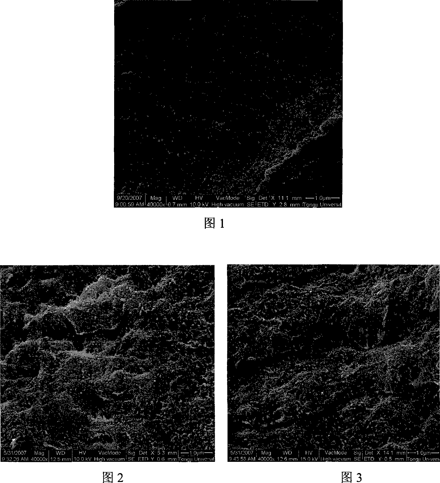 Method for producing high decentrality amido carbon nano-tube/nylon 66 composite material