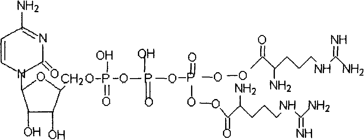 A kind of β-cytidine nucleoside-5'-arginine triphosphate derivative ester and its preparation method and application