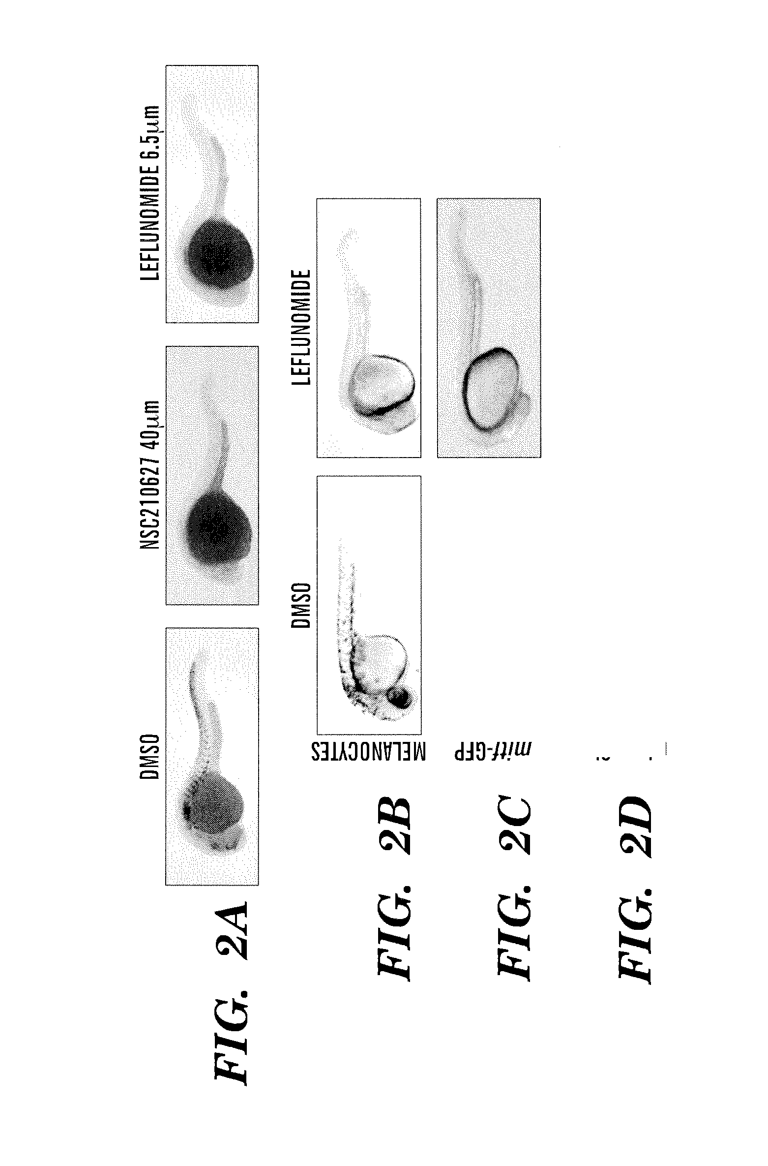 Methods for treatment of melanoma