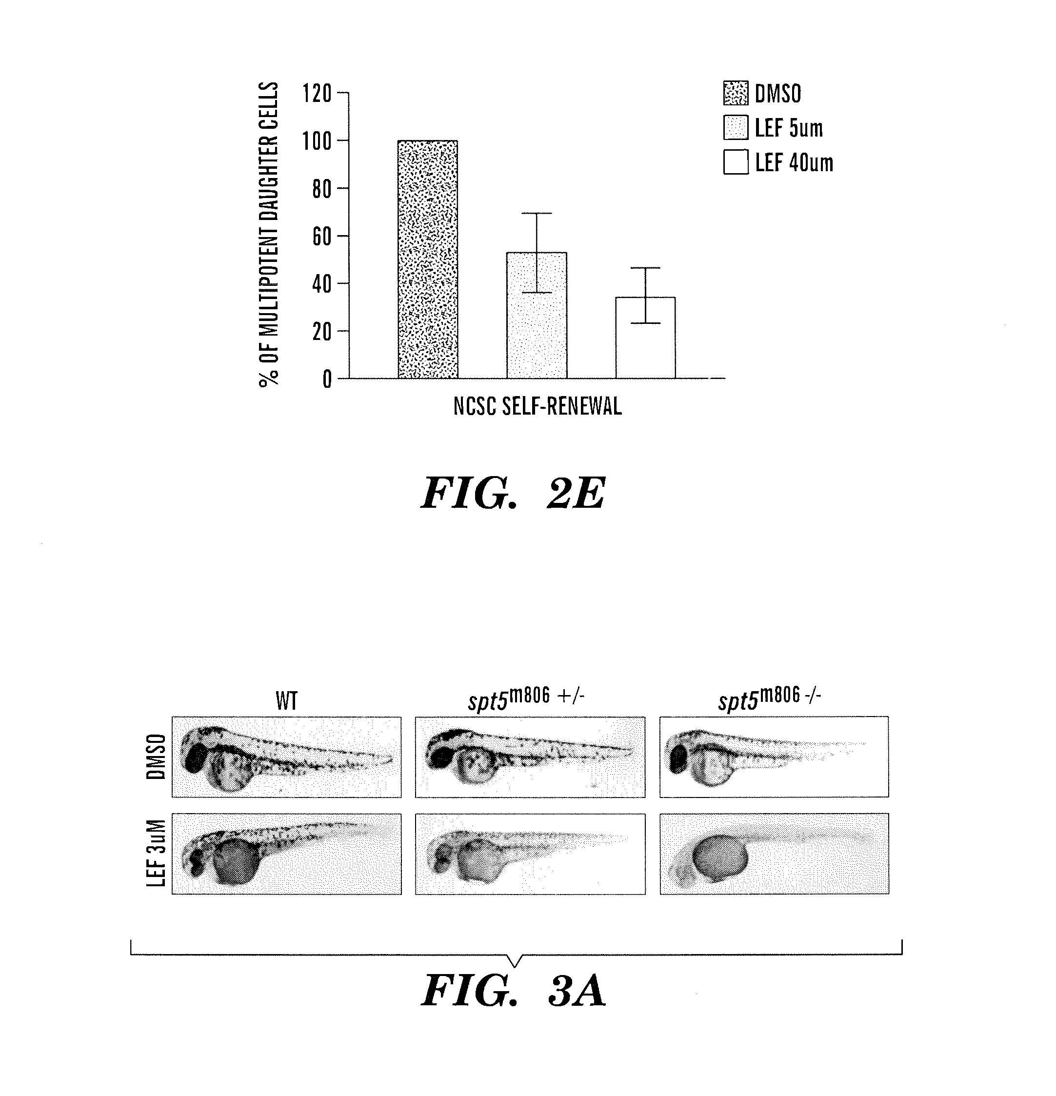 Methods for treatment of melanoma