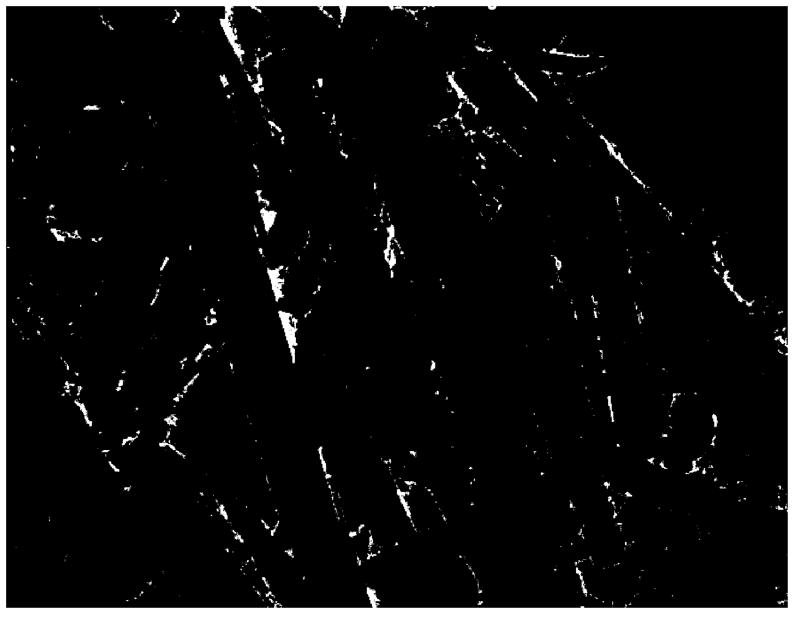 Attapulgite-perovskite composite material, preparation method and application thereof