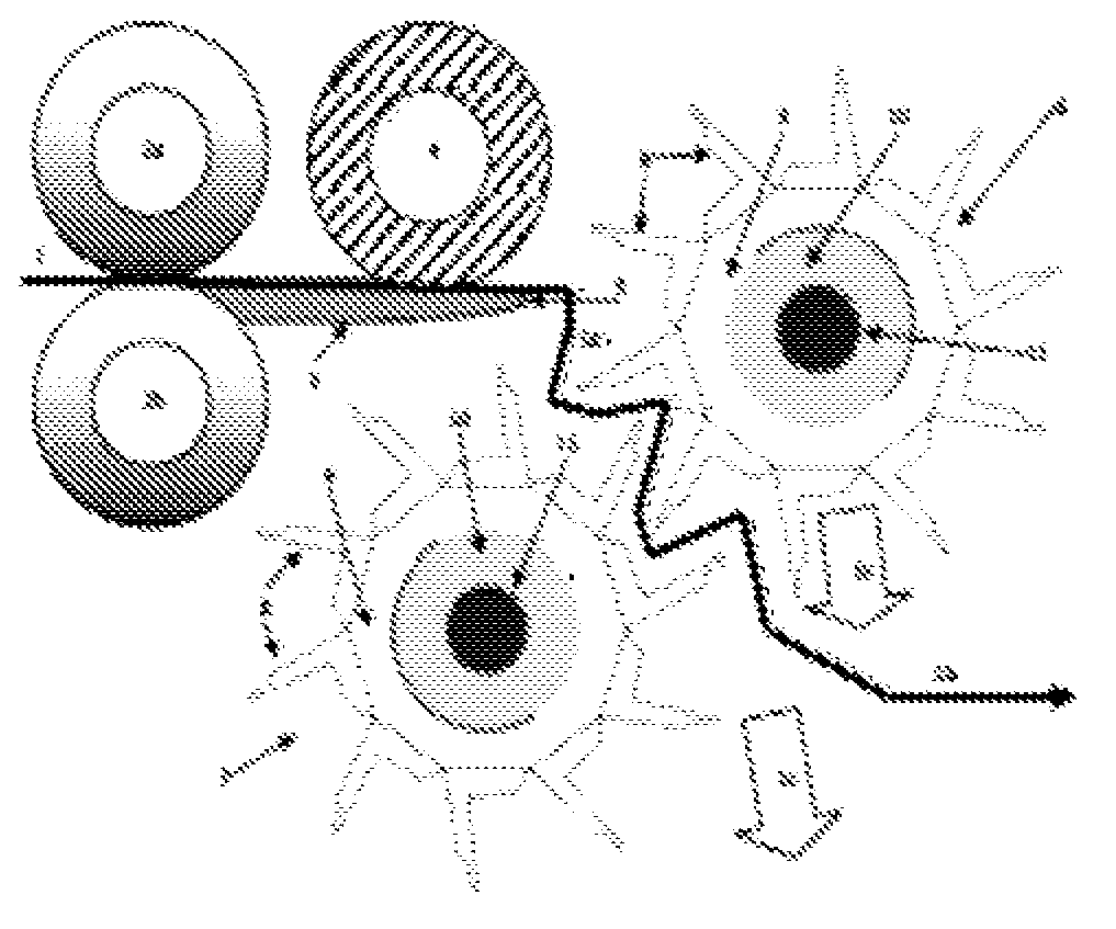 Fibrous plant stalk decorticator