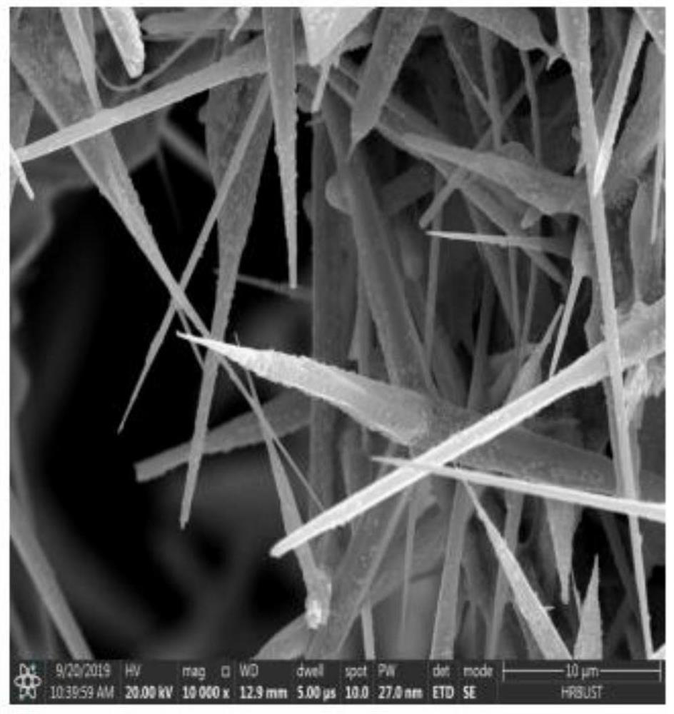 Preparation method of spherical ag@t-znow powder and method and application of high dielectric polymer composite film