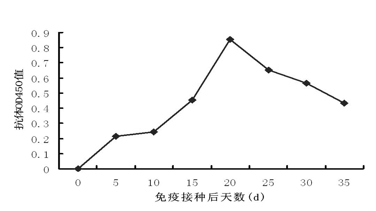 Enzyme-linked immunosorbent assay (ELISA) kit for duck hepatitis virus type-I serum antibody, test method and application thereof