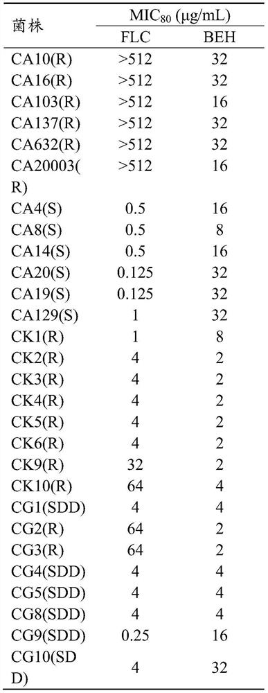 Application of benserazide and its composition with fluconazole in the preparation of antifungal products