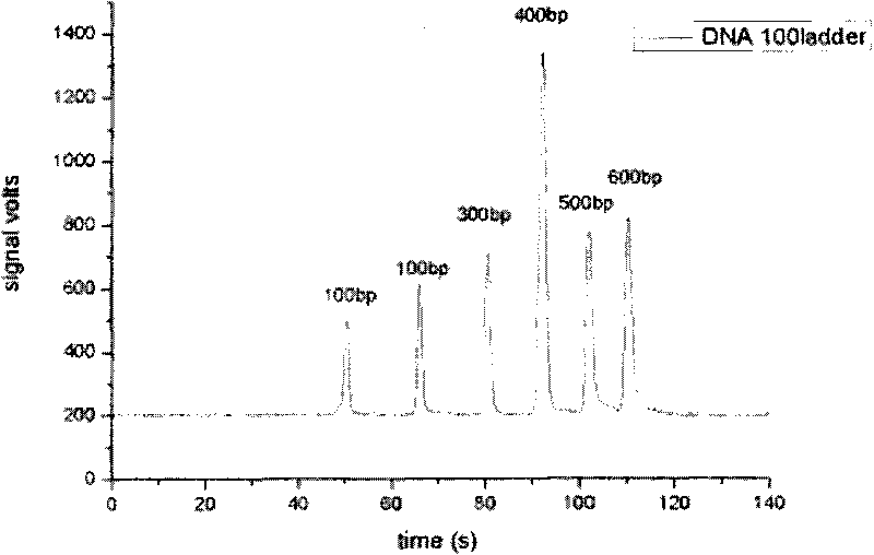 Micro-fluidic chip electrophoresis non-glue sieving system of gene diagnosis and method for preparing the system