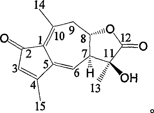 Sesquiterplactone in dandelion and its use of resisting Gram's positive bacteria