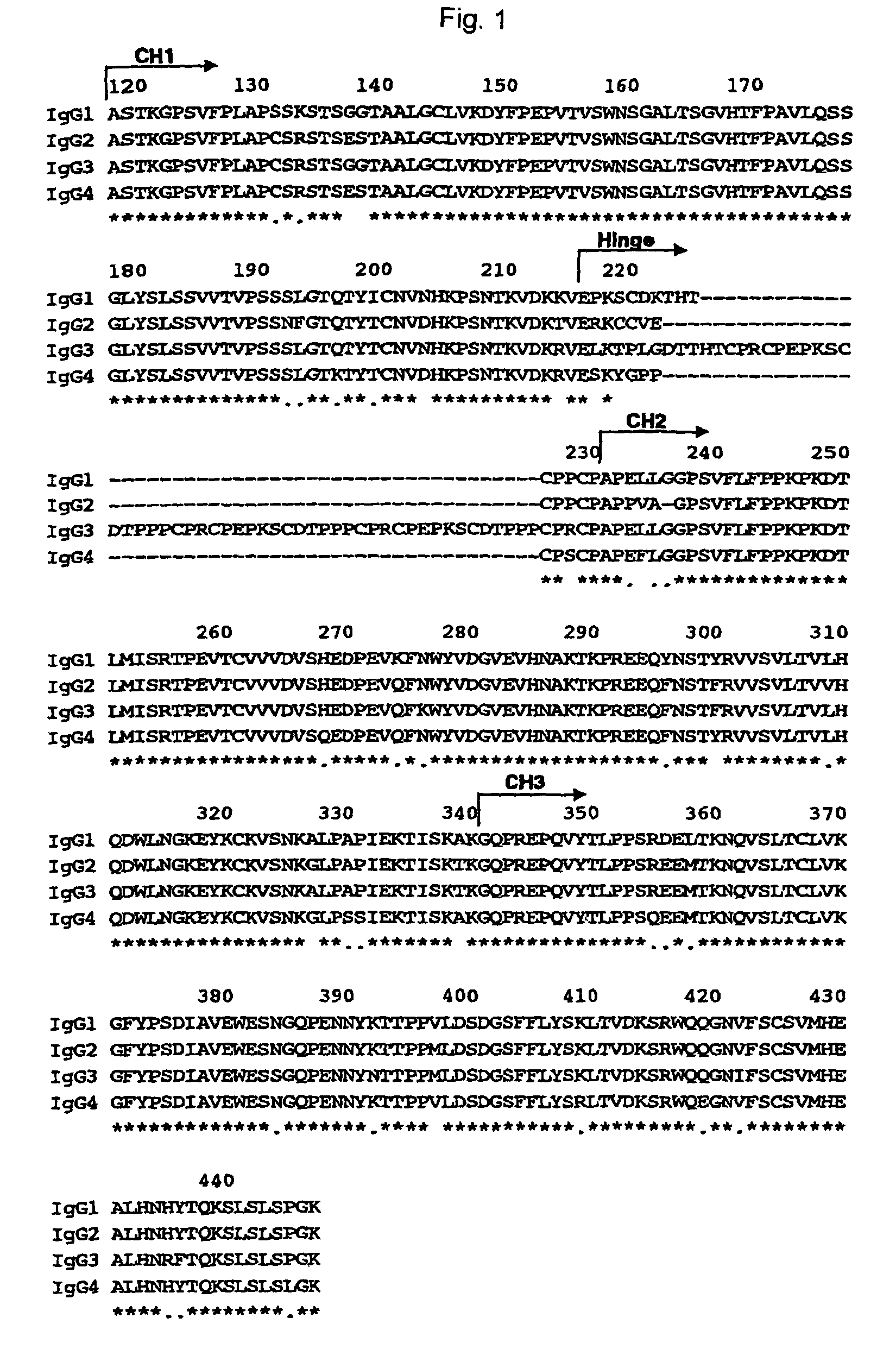 Recombinant antibody composition