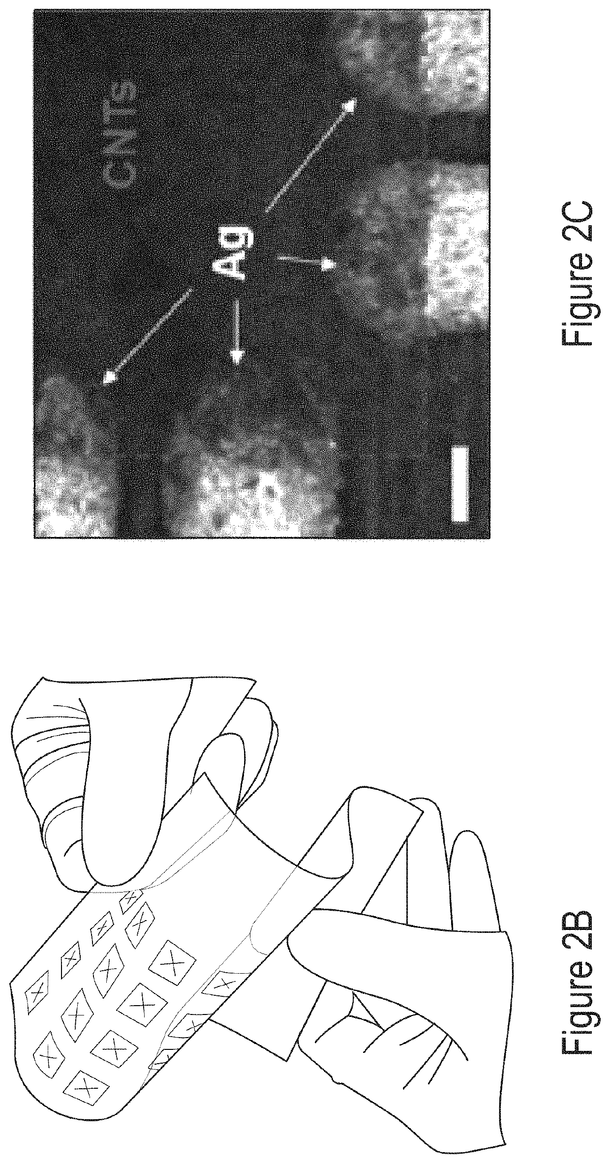 Physically unclonable all-printed carbon nanotube network