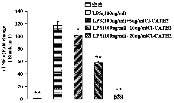 A kind of domestic pigeon cathelicidin-cl-cath2 peptide and its gene and application