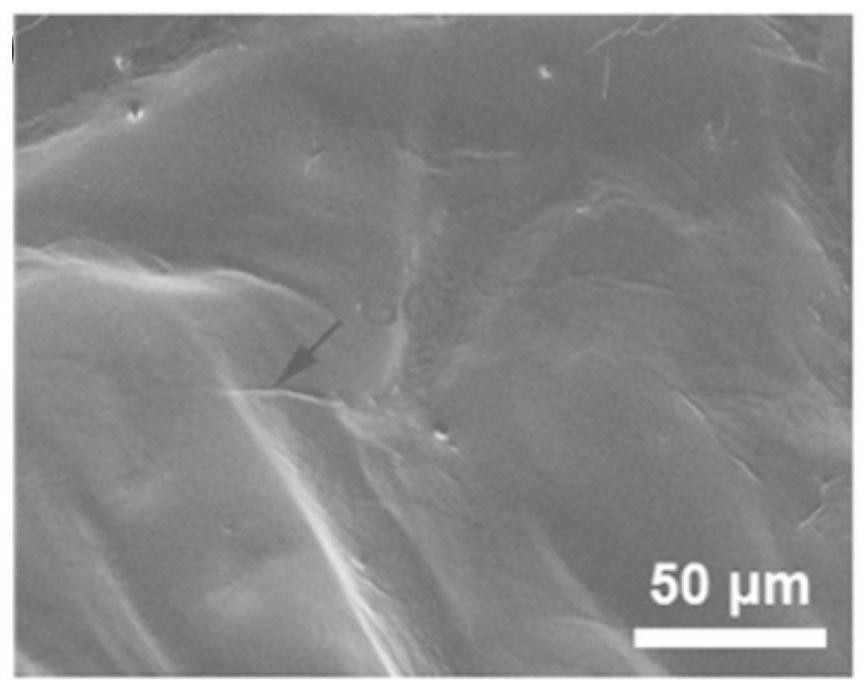 Preparation method and application of flame-retardant coated fabric based on graphene oxide