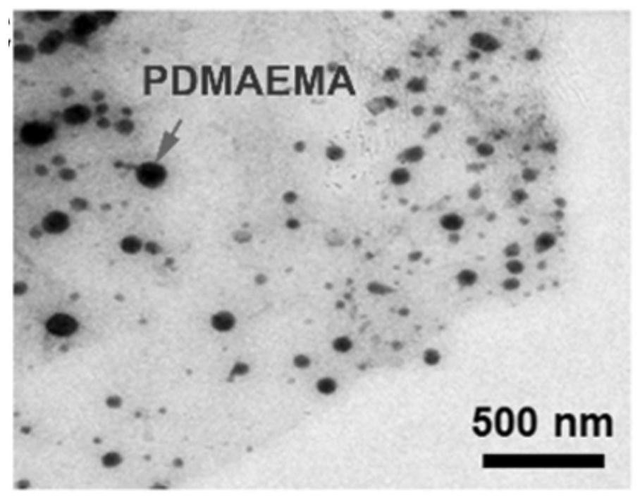 Preparation method and application of flame-retardant coated fabric based on graphene oxide