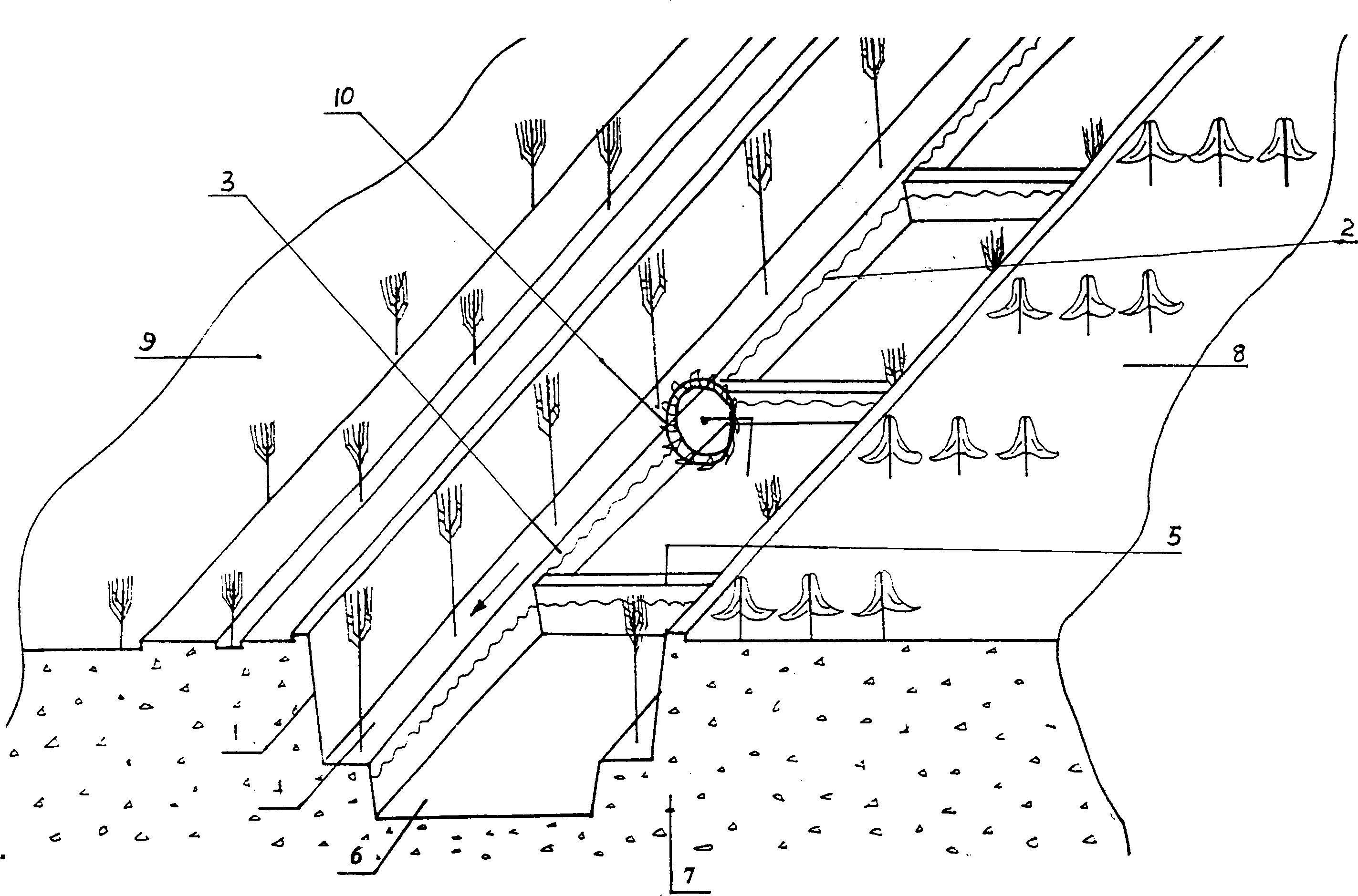 Subsiding step type riverbed and river channel improvement method