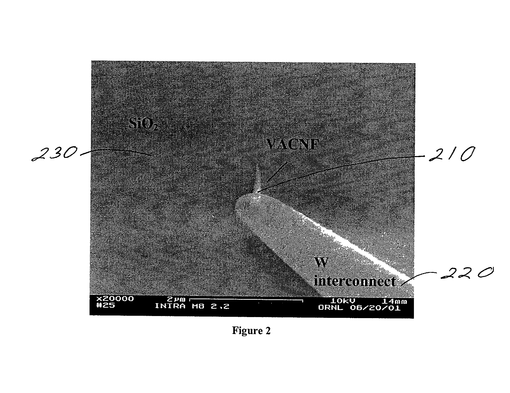 Individually electrically addressable carbon nanofibers on insulating substrates