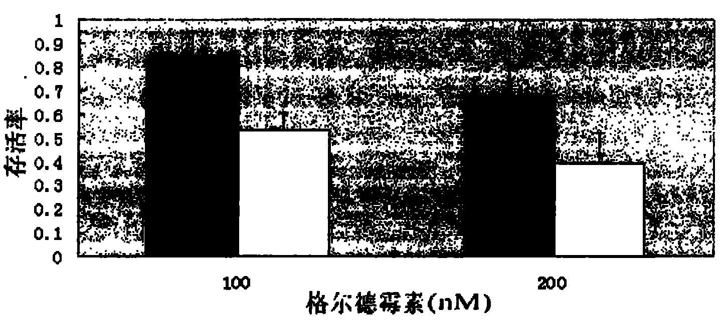 Medicinal composition having tumor-resistant synergy