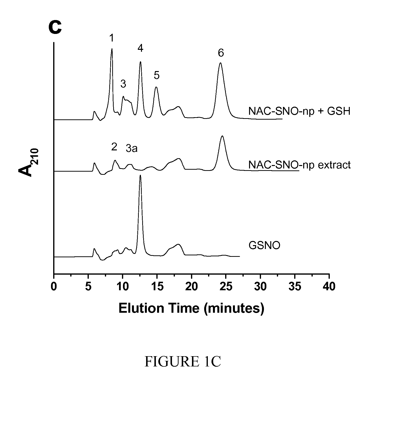 Nanoparticle delivery vehicle for s-nitroso-n-acetyl cysteine and uses thereof