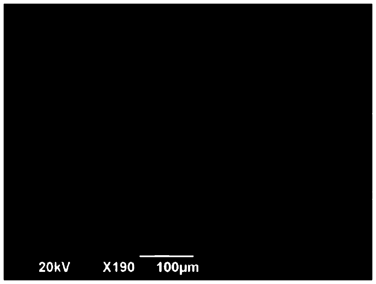 Molybdenum sulfide/cesium lead halide perovskite quantum dot photoelectric detector and preparation method