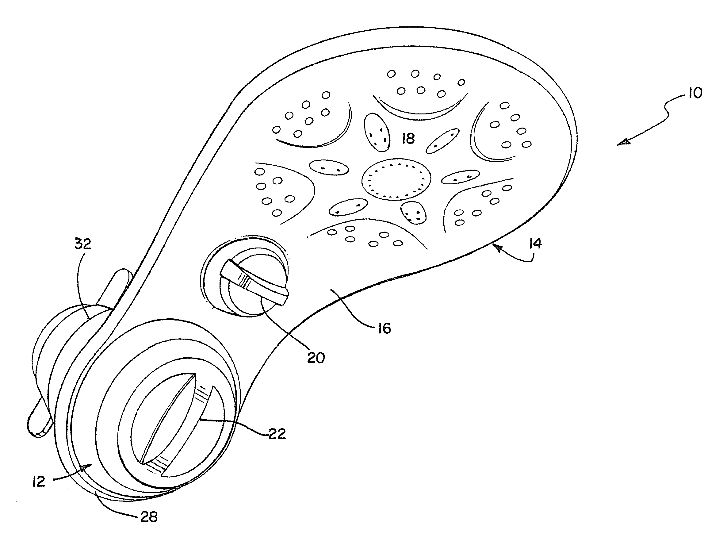 Offset filtered showerhead