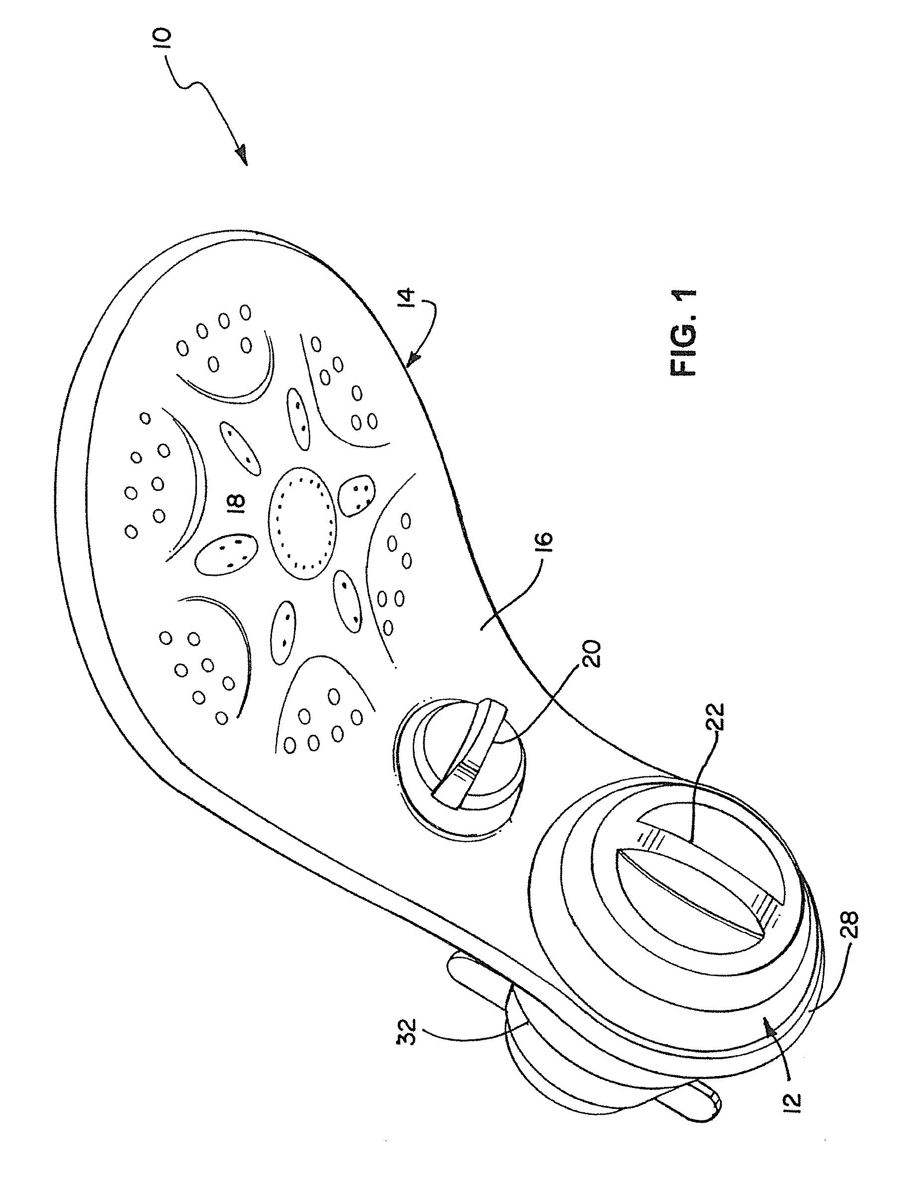 Offset filtered showerhead